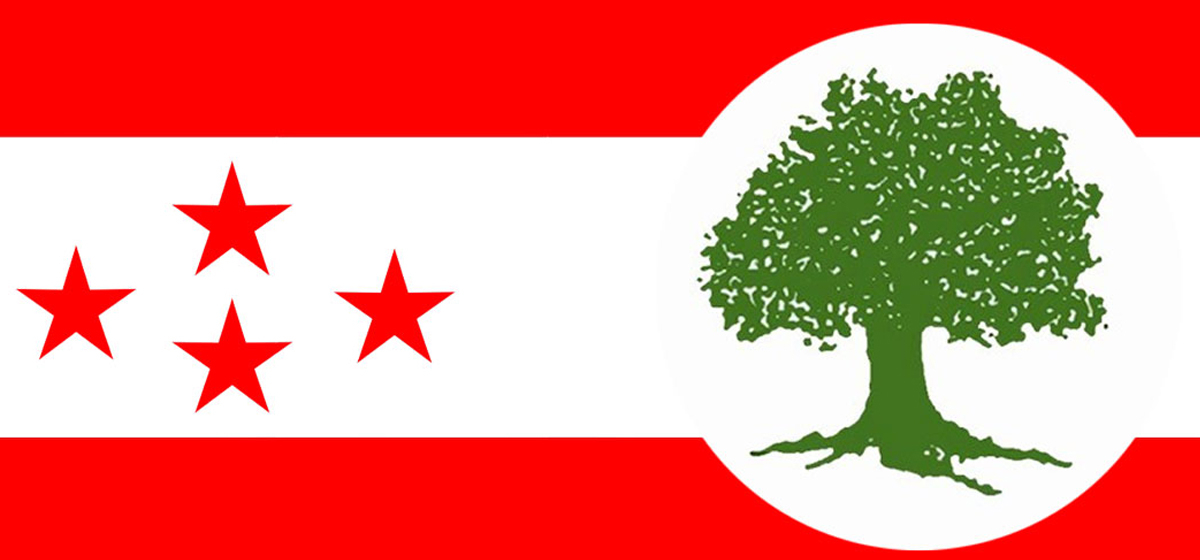 नेपाली काँग्रेस नवलपरासीमा बढ्यो नेता कार्यकर्ताको असन्तुष्टि; छोड्न थाले पार्टी